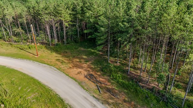164 Center Ridge Dr, Hohenwald, TN 38462