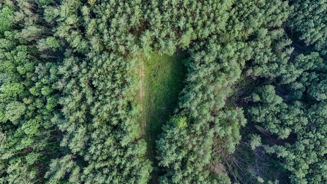 164 Center Ridge Dr, Hohenwald, TN 38462