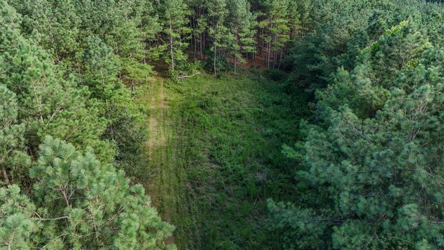 164 Center Ridge Dr, Hohenwald, TN 38462