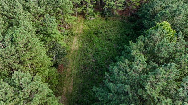 164 Center Ridge Dr, Hohenwald, TN 38462