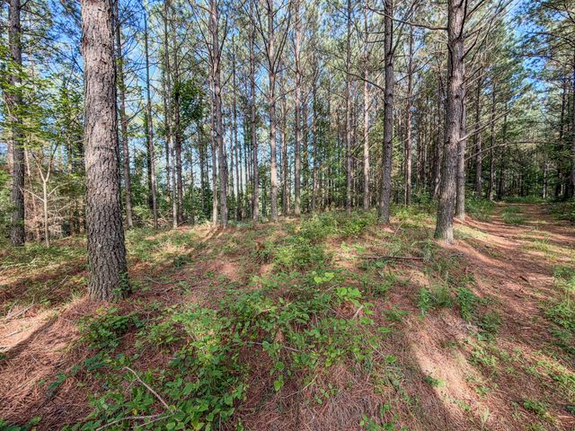 164 Center Ridge Dr, Hohenwald, TN 38462