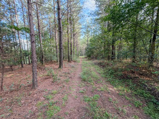 164 Center Ridge Dr, Hohenwald, TN 38462