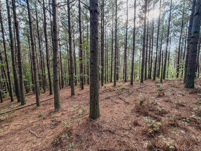 164 Center Ridge Dr, Hohenwald, TN 38462