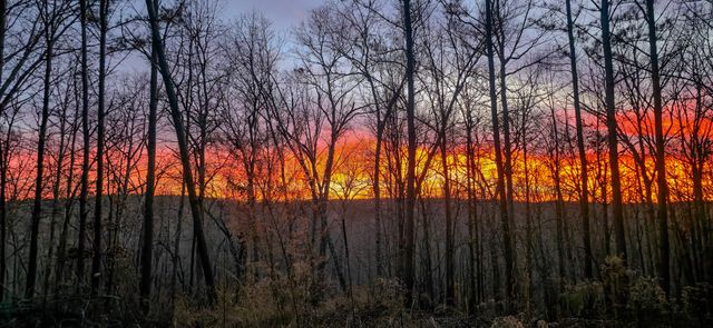164 Center Ridge Dr, Hohenwald, TN 38462