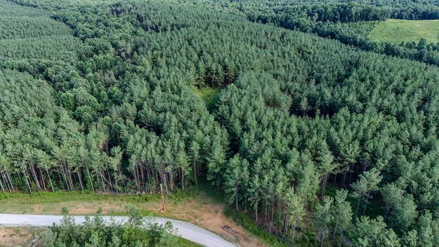 164 Center Ridge Dr, Hohenwald, TN 38462