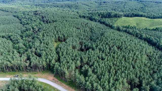 164 Center Ridge Dr, Hohenwald, TN 38462