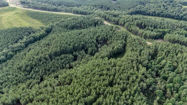 164 Center Ridge Dr, Hohenwald, TN 38462