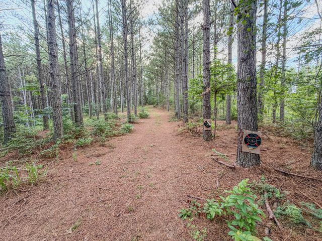 164 Center Ridge Dr, Hohenwald, TN 38462