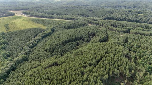 164 Center Ridge Dr, Hohenwald, TN 38462