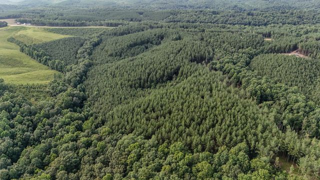 164 Center Ridge Dr, Hohenwald, TN 38462