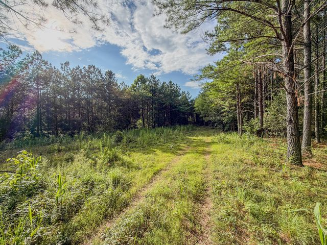 164 Center Ridge Dr, Hohenwald, TN 38462