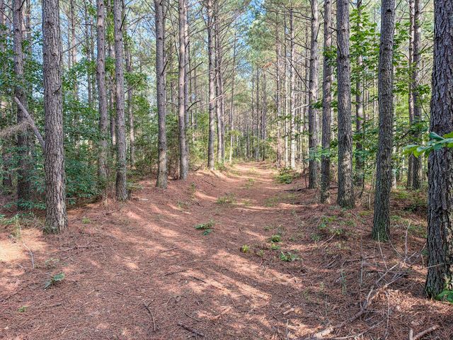 164 Center Ridge Dr, Hohenwald, TN 38462