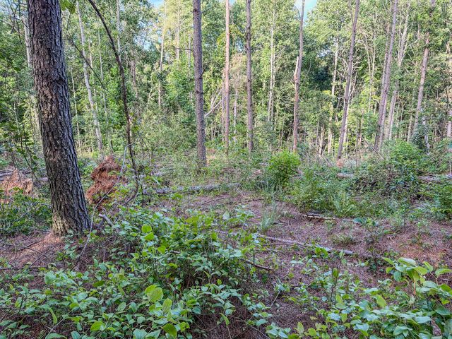 164 Center Ridge Dr, Hohenwald, TN 38462