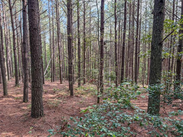 164 Center Ridge Dr, Hohenwald, TN 38462