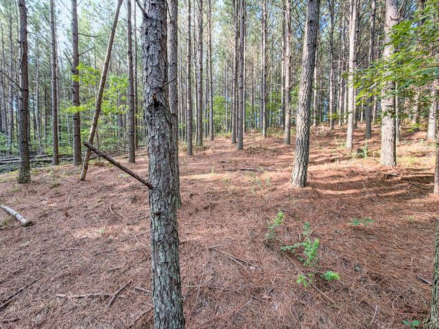 164 Center Ridge Dr, Hohenwald, TN 38462