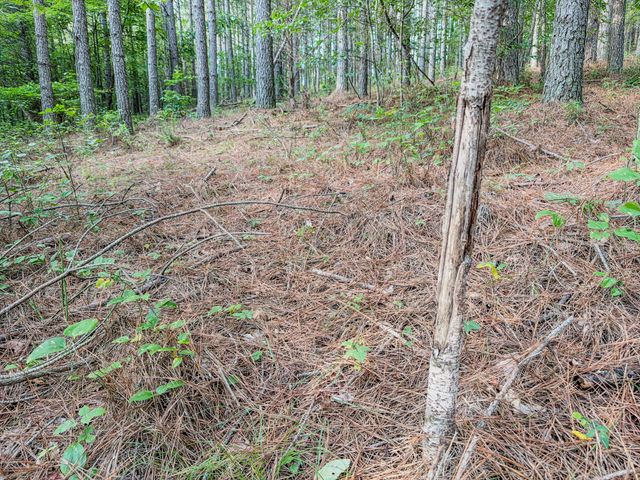 164 Center Ridge Dr, Hohenwald, TN 38462