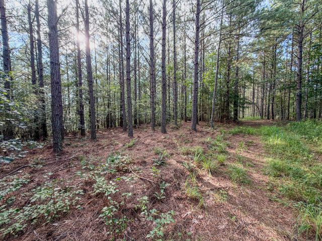 164 Center Ridge Dr, Hohenwald, TN 38462