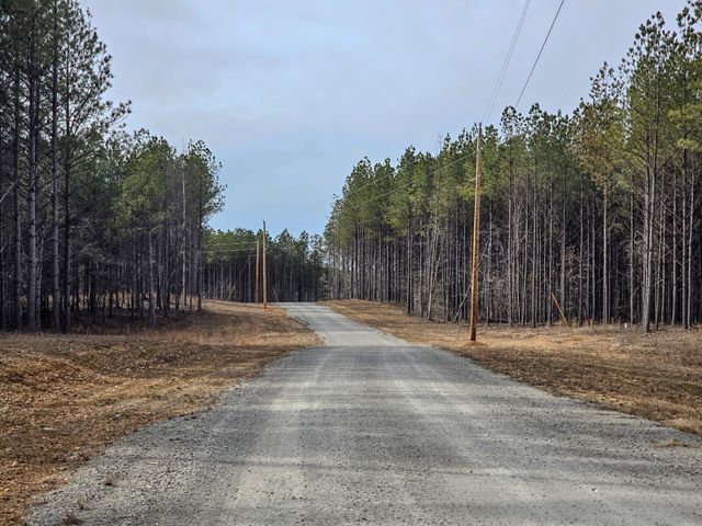 164 Center Ridge Dr, Hohenwald, TN 38462