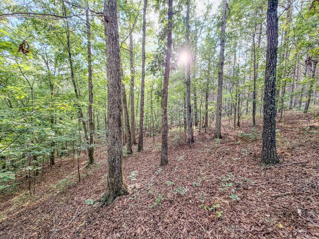 164 Center Ridge Dr, Hohenwald, TN 38462
