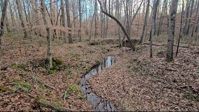164 Center Ridge Dr, Hohenwald, TN 38462