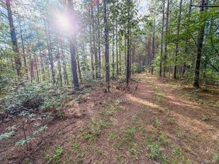 164 Center Ridge Dr, Hohenwald, TN 38462