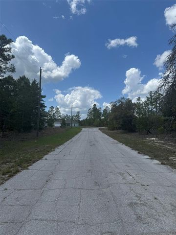 2984 W LIZA PLACE, Dunnellon, FL 34433