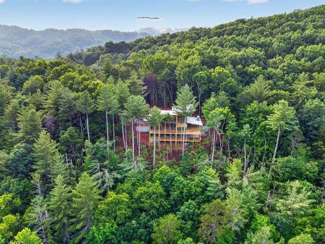 LOT 3C Stanley Creek Road, Cherry Log, GA 30522