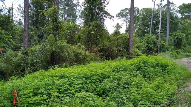 12TH AVENUE, Deland, FL 32724