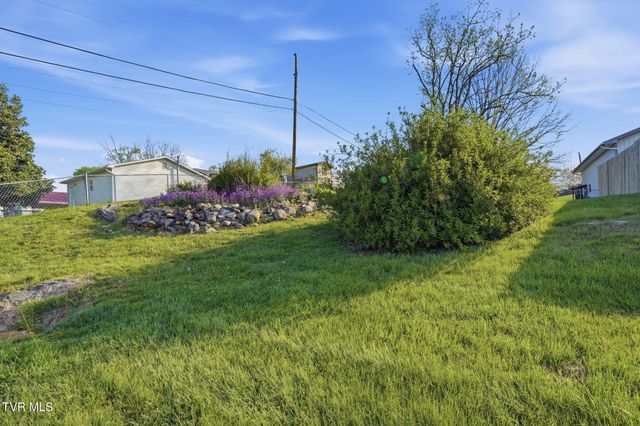 515 Poplar Street, Mount Carmel, TN 37645