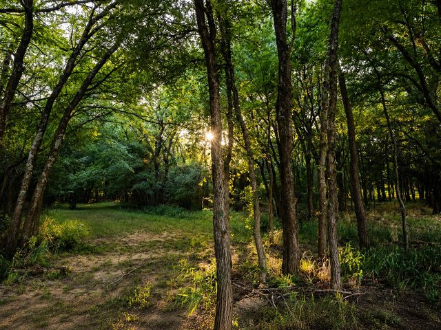 985 Vest Lane, Pilot Point, TX 76258