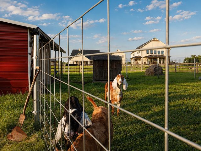 985 Vest Lane, Pilot Point, TX 76258