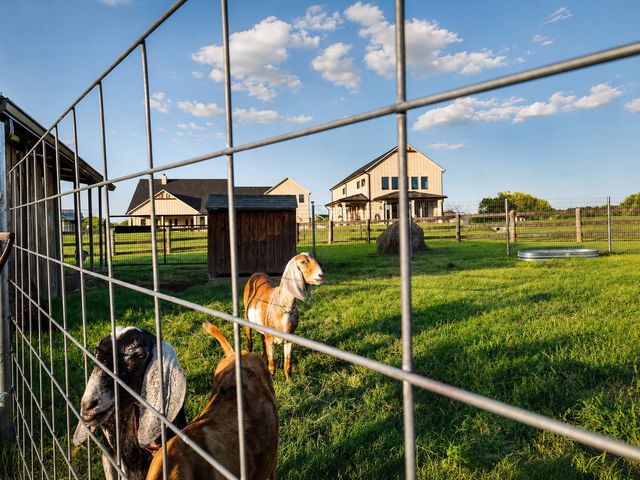 985 Vest Lane, Pilot Point, TX 76258