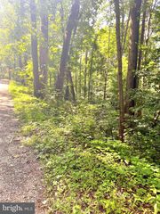 WALNUT TREE CT. RD #LOT 9, BLOCK F, Front Royal, VA 22630