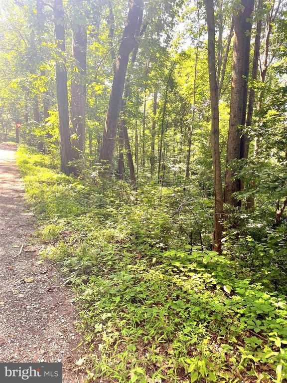WALNUT TREE CT. RD #LOT 9, BLOCK F, Front Royal, VA 22630