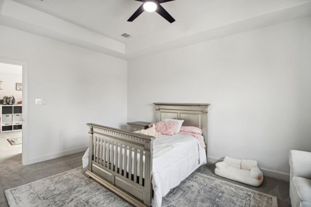 29819 Autumn Maple Court, Fulshear, TX 77494