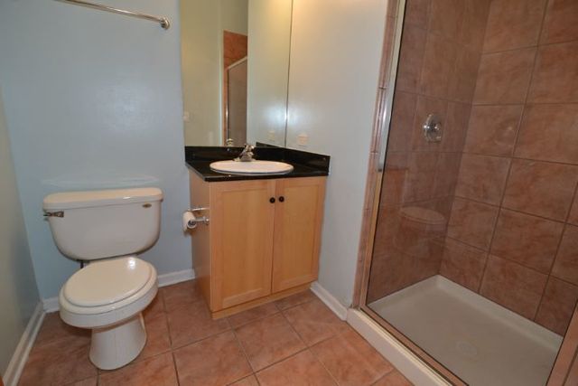 1743 W North Avenue 4, Chicago, IL 60622