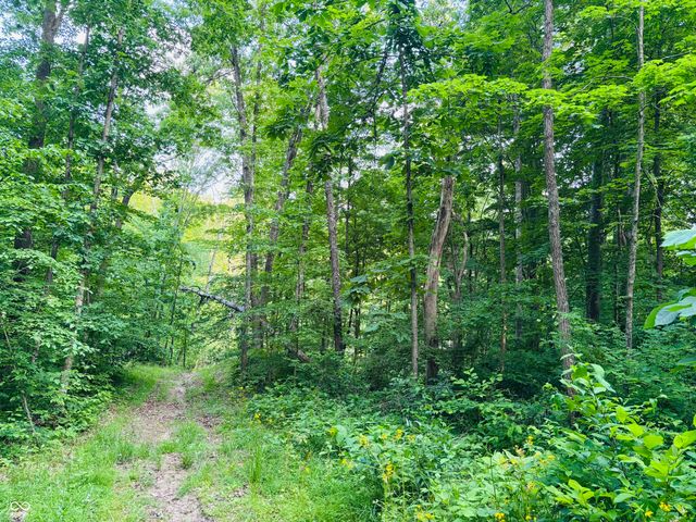 0 Laurel Road, Laurel, IN 47024