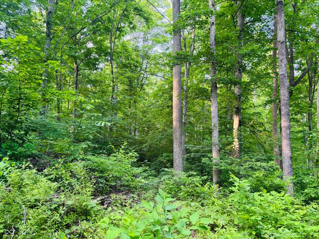 0 Laurel Road, Laurel, IN 47024