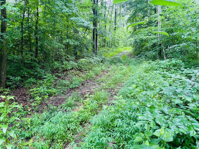 0 Laurel Road, Laurel, IN 47024