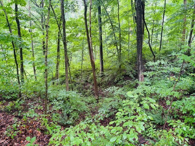 0 Laurel Road, Laurel, IN 47024