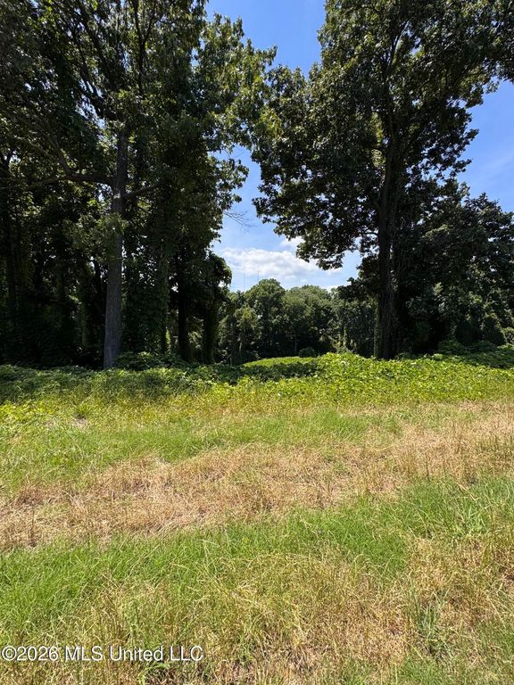 10533 Spring River Cove, Lake Cormorant, MS 38641 — exterior