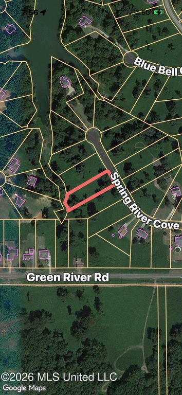 10533 Spring River Cove, Lake Cormorant, MS 38641 — photo 2