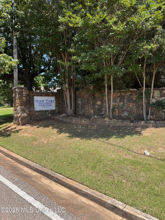 10533 Spring River Cove, Lake Cormorant, MS 38641 — photo 3