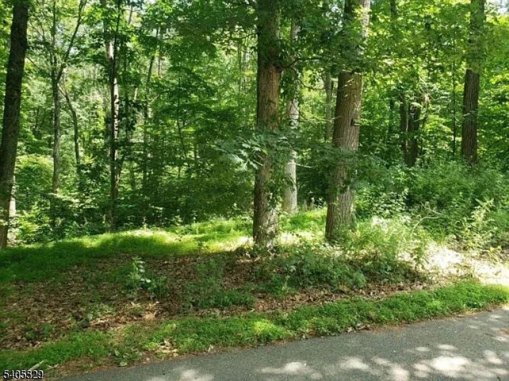 8 Cub Lake Rd, Byram Twp., NJ 07821