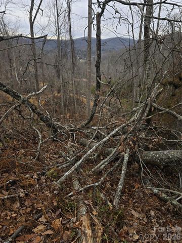 1480 Davis Mountain Road, Hendersonville, NC 28739