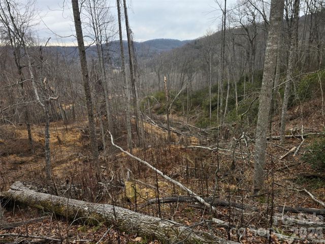 1480 Davis Mountain Road, Hendersonville, NC 28739