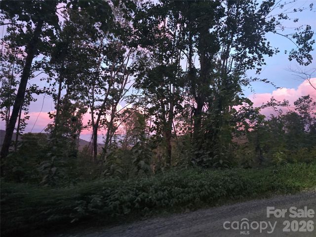 1480 Davis Mountain Road, Hendersonville, NC 28739
