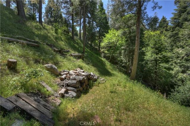 24601 Geneva Drive, Crestline, CA 92325
