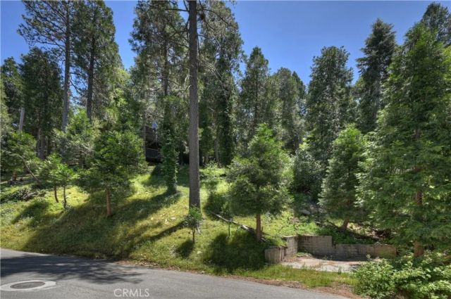24601 Geneva Drive, Crestline, CA 92325