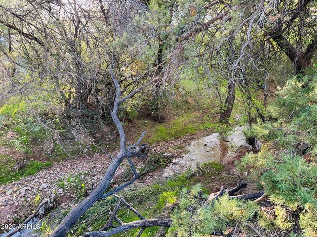 4035 E GOLDMINE Road, Rimrock, AZ 86335